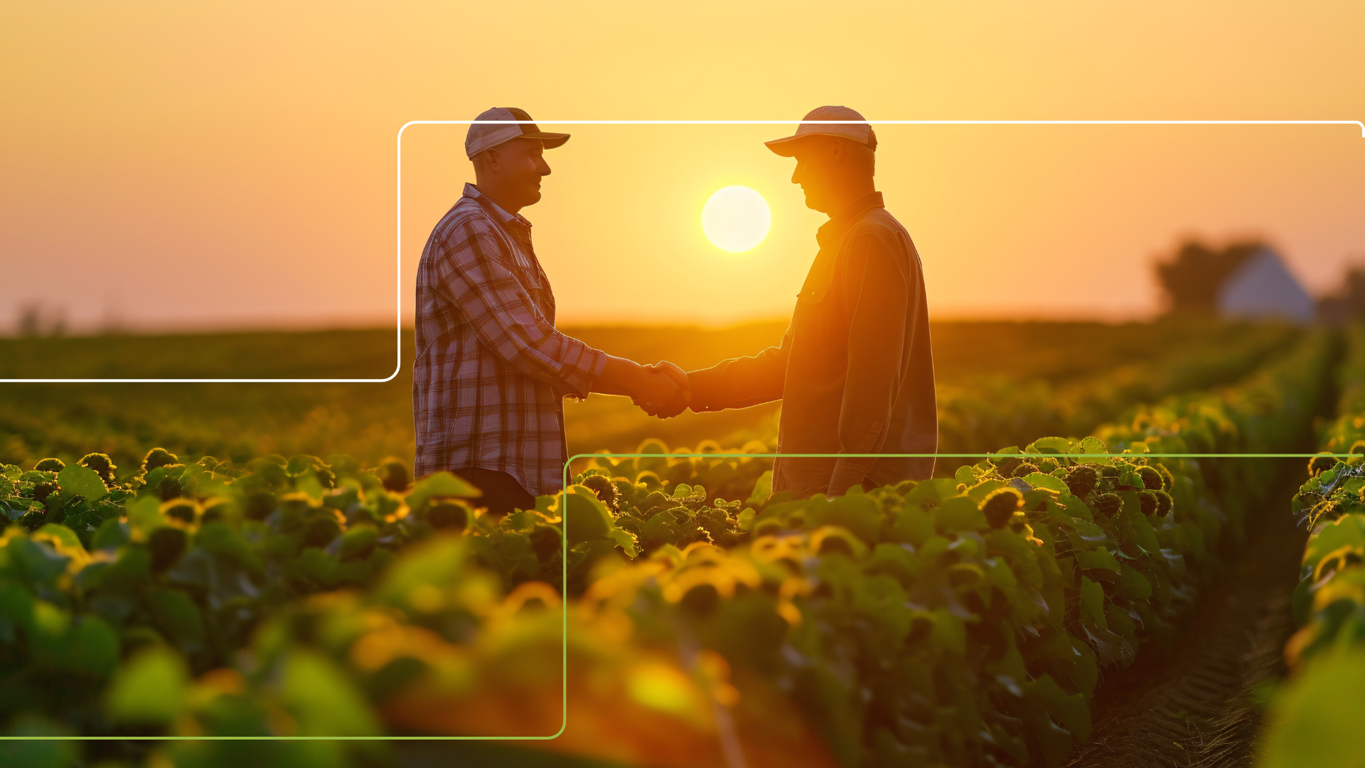 Background RTV Manager